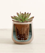 Load image into Gallery viewer, Eternal Gray stand:all