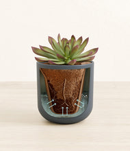 Load image into Gallery viewer, Iron Gray stand:all