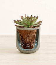 Load image into Gallery viewer, Sage Green stand:all