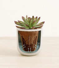 Load image into Gallery viewer, Natural Bamboo stand:all