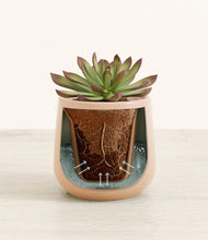 Load image into Gallery viewer, Gentle Pink stand:all