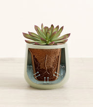 Load image into Gallery viewer, Turquoise stand:all