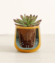 Load image into Gallery viewer, Mustard stand:all