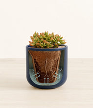 Load image into Gallery viewer, Twilight Blue stand:all