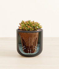 Load image into Gallery viewer, Stone Black stand:all