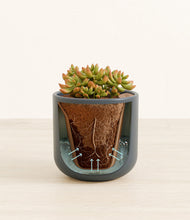 Load image into Gallery viewer, Iron Gray stand:all