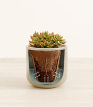 Load image into Gallery viewer, Sage Green stand:all