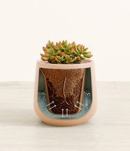 Load image into Gallery viewer, Gentle Pink stand:all