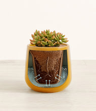 Load image into Gallery viewer, Mustard stand:all