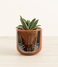 Load image into Gallery viewer, Glossy Red stand:all