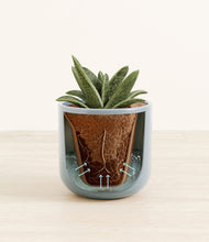 Load image into Gallery viewer, Misty Blue stand:all