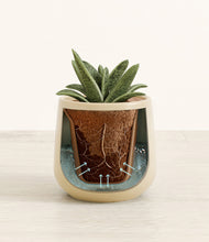 Load image into Gallery viewer, Almond Green stand:all