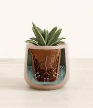 Load image into Gallery viewer, Eternal Gray stand:all