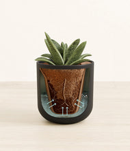 Load image into Gallery viewer, Stone Black stand:all