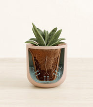 Load image into Gallery viewer, Sandy Pink stand:all