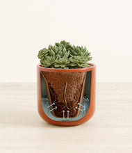 Load image into Gallery viewer, Glossy Red stand:all