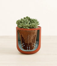 Load image into Gallery viewer, Earth Red stand:all