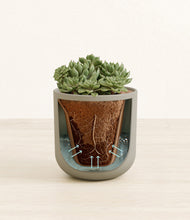 Load image into Gallery viewer, Sage Green stand:all