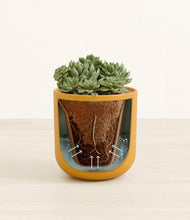 Load image into Gallery viewer, Sunset Orange stand:all