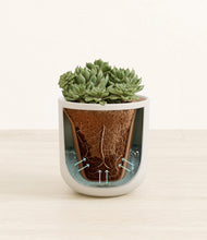 Load image into Gallery viewer, Natural Bamboo stand:all