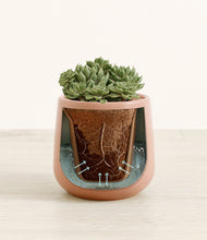 Load image into Gallery viewer, Calm Rose stand:all