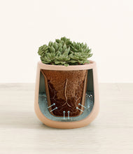 Load image into Gallery viewer, Gentle Pink stand:all