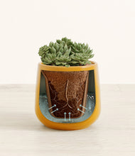 Load image into Gallery viewer, Mustard stand:all