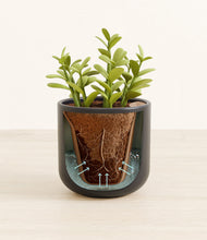 Load image into Gallery viewer, Stone Black stand:all