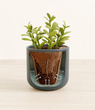 Load image into Gallery viewer, Iron Gray stand:all