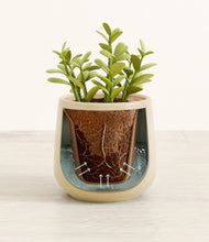 Load image into Gallery viewer, Almond Green stand:all