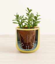 Load image into Gallery viewer, Key Lime Yellow stand:all