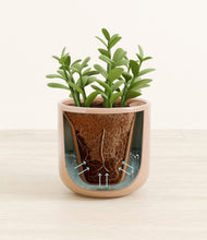 Load image into Gallery viewer, Glossy Pink stand:all