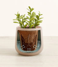 Load image into Gallery viewer, Eternal Gray stand:all