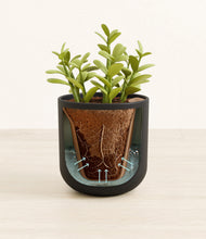 Load image into Gallery viewer, Stone Black stand:all