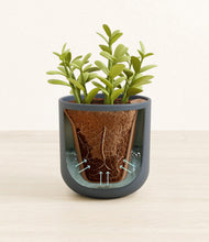 Load image into Gallery viewer, Iron Gray stand:all