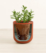 Load image into Gallery viewer, Earth Red stand:all