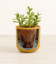 Load image into Gallery viewer, Sunset Orange stand:all