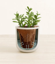 Load image into Gallery viewer, Natural Bamboo stand:all