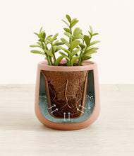 Load image into Gallery viewer, Calm Rose stand:all