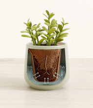 Load image into Gallery viewer, Turquoise stand:all