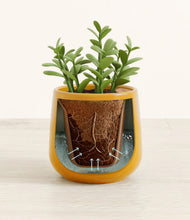 Load image into Gallery viewer, Mustard stand:all