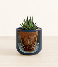 Load image into Gallery viewer, Twilight Blue stand:all