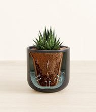 Load image into Gallery viewer, Stone Black stand:all