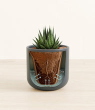 Load image into Gallery viewer, Iron Gray stand:all