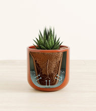 Load image into Gallery viewer, Glossy Red stand:all