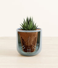 Load image into Gallery viewer, Misty Blue stand:all