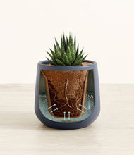 Load image into Gallery viewer, Deep Navy stand:all