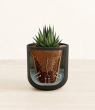 Load image into Gallery viewer, Stone Black stand:all