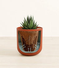 Load image into Gallery viewer, Earth Red stand:all