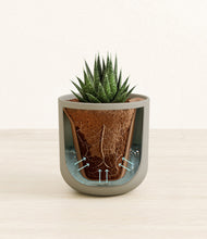 Load image into Gallery viewer, Sage Green stand:all